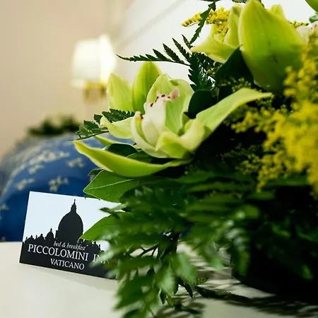 Piccolomini Inn Vaticano Roma
